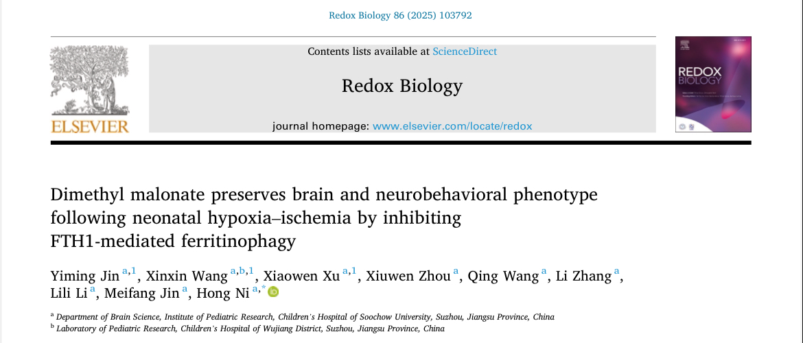 1754034781856581.png 1754034781856581.png