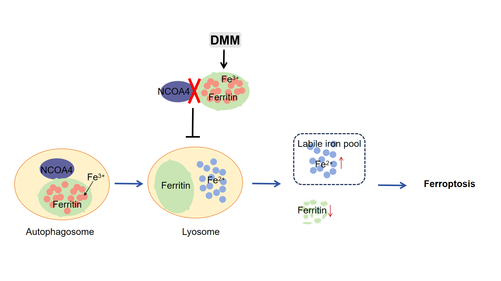 1754034822907668.png 1754034822907668.png